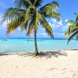 Moorea - Tropical Soul Hébergement de vacances Hauru